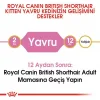 Royal Canin British Shorthair için Yavru Kedi Maması 2 Kg