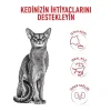 Royal Canin Fussy Exigent Seçici Kedilere Özel Kedi Maması 2 Kg
