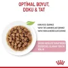 Royal Canin Gravy Kitten Instinctive Yavru Yaş Kedi Maması 85gr x 12 Adet