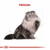 Royal Canin İran Kedisi için Kuru Kedi Maması 2 Kg