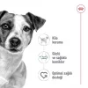 Royal Canin Küçük Irklar için Kuru Köpek Maması 8 Kg