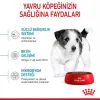 Royal Canin Küçük Irklar için Yavru Kuru Köpek Maması 2 Kg