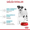 Royal Canin Mini Starter Küçük Irk Yavru Köpek Maması 4 Kg