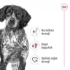 Royal Canin Orta Irklar için Yetişkin Kuru Köpek Maması 15 Kg