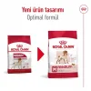 Royal Canin Orta Irklar için Yetişkin Kuru Köpek Maması 15 Kg