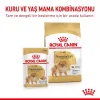 Royal Canin Pomeranian Yaş Köpek Maması 85g X 12li Paket