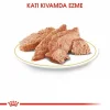 Royal Canin Poodle Yaş Köpek Maması 85g x 12li Paket
