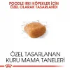 Royal Canin Poodle Yetişkin Kuru Köpek Maması 3 Kg