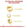 Royal Canin Poodle Yetişkin Kuru Köpek Maması 3 Kg