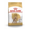 Royal Canin Poodle Yetişkin Kuru Köpek Maması 3 Kg