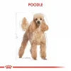 Royal Canin Poodle Yetişkin Kuru Köpek Maması 3 Kg