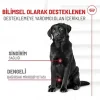 Royal Canin Sindirim Sistemi Destekli Yetişkin Köpek Ödül Maması 160gr