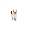 Royal Canin Yavru Kediler için Kuru Kedi Maması 4 Kg
