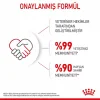 Royal Canin Yavru Kediler için Yaş Kedi Maması 85g X 12li Paket
