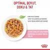 Royal Canin Yavru Kediler için Yaş Kedi Maması 85g X 12li Paket