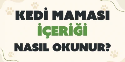 Kedi Maması İçeriği Nasıl Okunur?