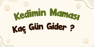 Kedimin Maması Kaç Gün Gider?