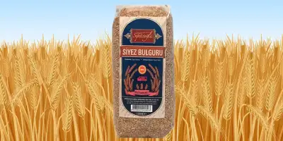 Siyez Bulguru