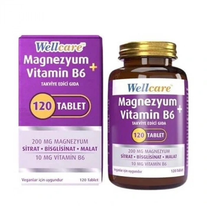 Wellcare Magnezyum Vitamin B6 120 Tablet