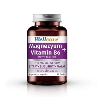 Wellcare Magnezyum + Vitamin B6 30 Tablet
