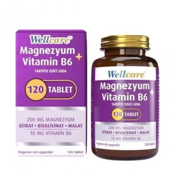 Wellcare Magnezyum Vitamin B6 120 Tablet