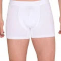 Berrak Erkek Modal Boxer  4476