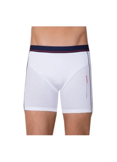 Berrak Erkek Modal Silva Boxer 1078