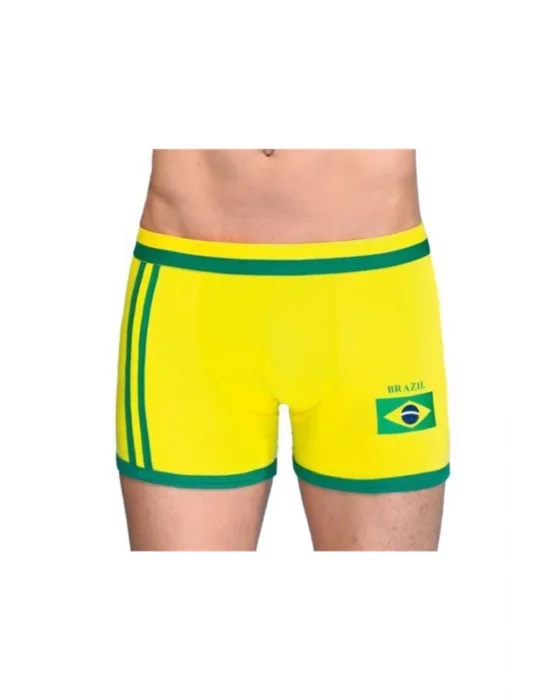 Berrak Erkek Brazilya Boxer 1088