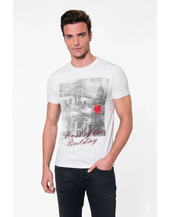 Berrak Erkek Köprü Baskılı T-Shirt 1047