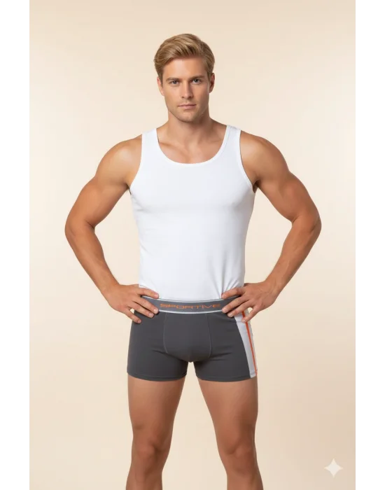 Erkek Modal Boxer 1080