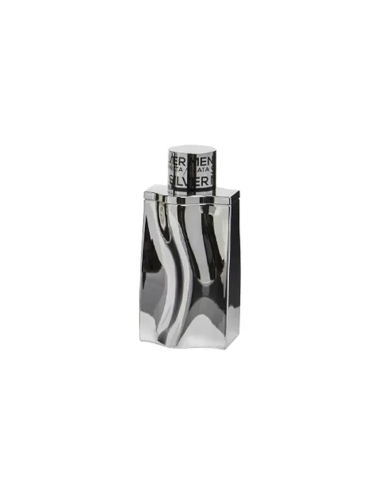 Silver Men Georges Mezotti EDT 100 ml Mens Perfume