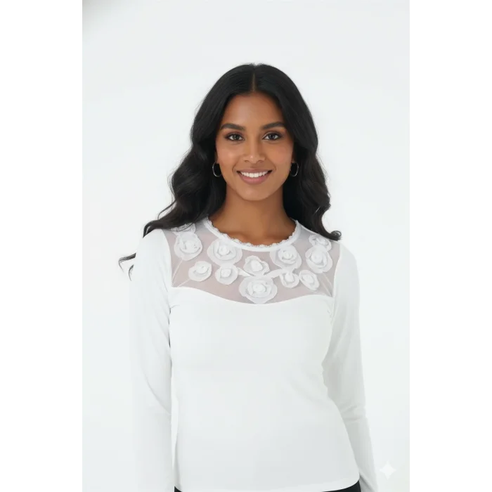 Clear Long Sleeve Blouse 2635