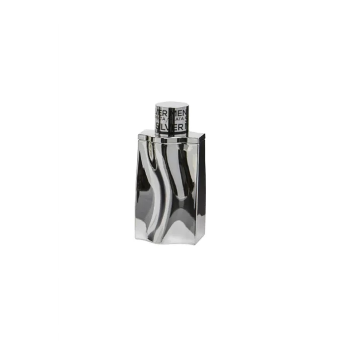 Silver Men Georges Mezotti EDT 100 ml Mens Perfume