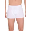 Berrak Erkek Modal Boxer  4476