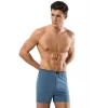 Erdem Erkek Penye Boxer 1400 Asorti M