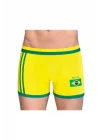 Berrak Erkek Brazilya Boxer 1088
