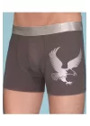 Clear Mens Eagle Boxer 1091