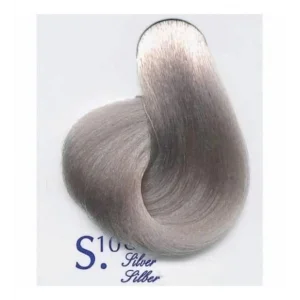 S10 Akos Paint Silver