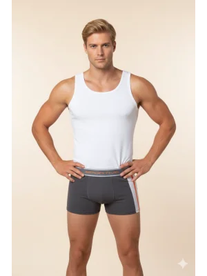 Erkek Modal Boxer 1080