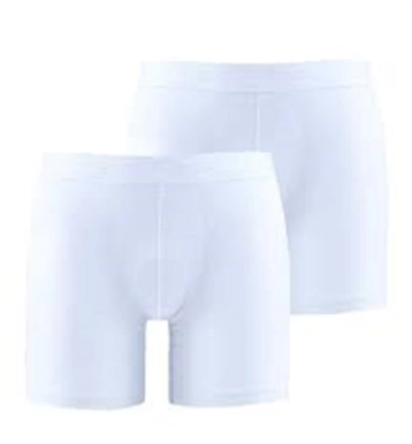 Backspade Erkek Boxer 9324