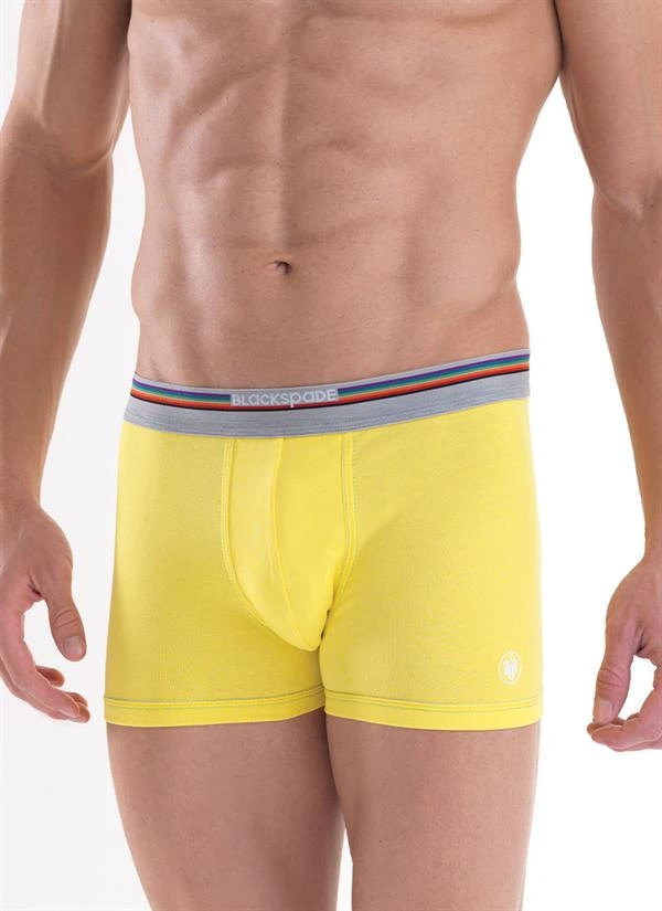 Blackspade Erkek Colours Boxer 9550