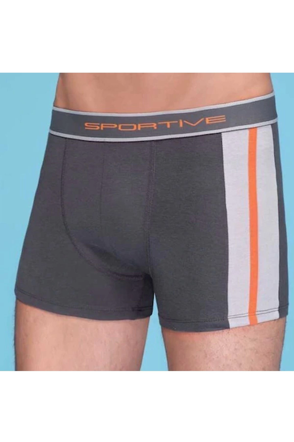 Berrak Erkek Modal Boxer 1080
