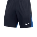 Nike DH9236-451Short Lacivert