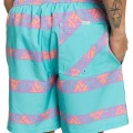 QuikSilver EQYJV04062 Deniz Şortu Mavi