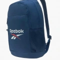 REEBOK BACKPACK ASHLAND ÇANTA LACİ