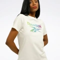 Reebok Gradient Graphic Tee T-Shirt Ekru