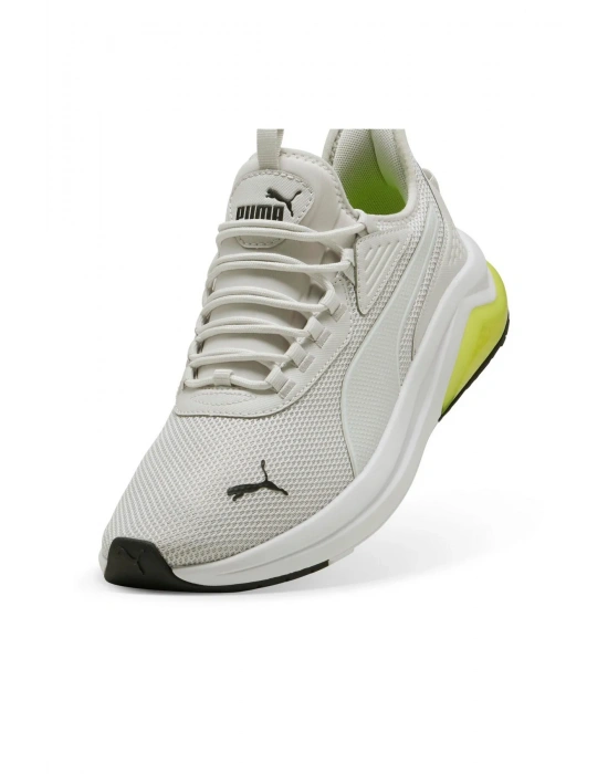 Puma Amplifier 396867-19 Bej (40-45)