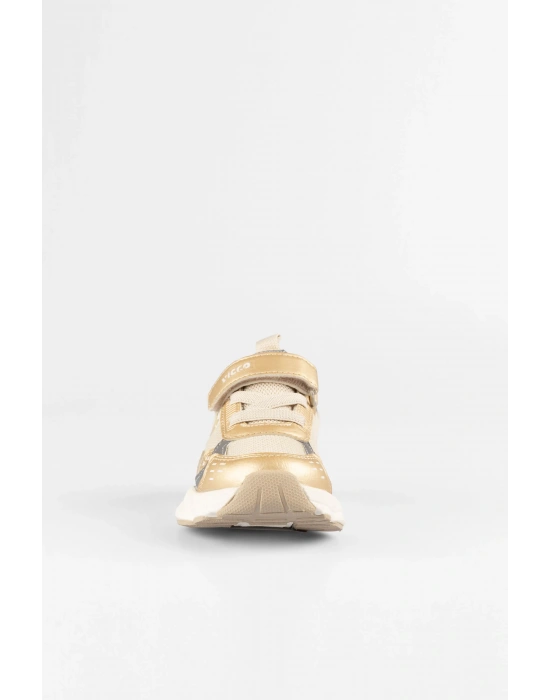 Vicco Tag Gold (22-25)