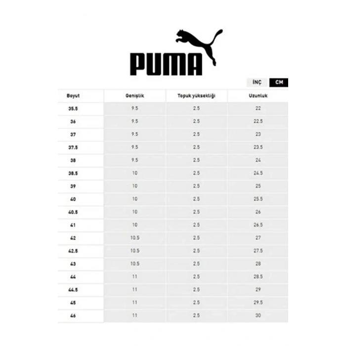 Puma Ferrari Trinity 307950-05 Bej-Turkuaz-Gri