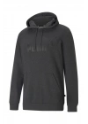 Puma Ess Big Logo Hoodie 586688-07